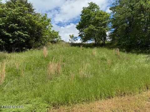 Putters Peak, Tazewell, TN 37879