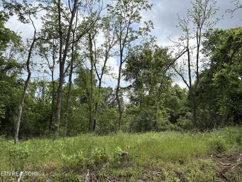 Grubb Rd, Lenoir City, TN 37771