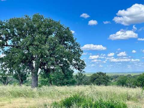 3623 Art Hedwigs Hill Rd, Mason, TX 76856