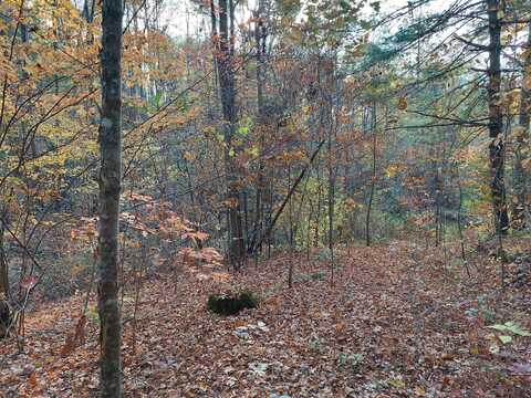 1.76 Acres Sugar Maple Way, Del Rio, TN 37727