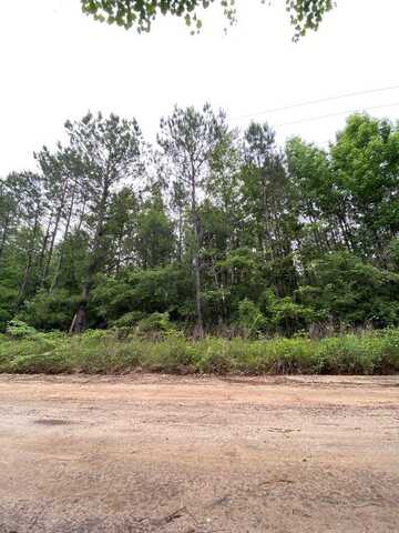 L98486 Grimes Flournoy Road, Huntington, TX 75949