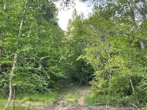 3717 Hwy 830, Gray, KY 40734