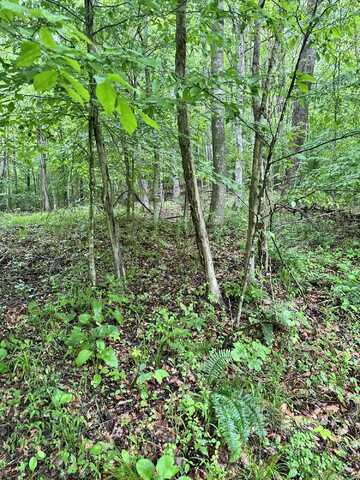 0000 Mt. Scratchum Road, Irvine, KY 40336