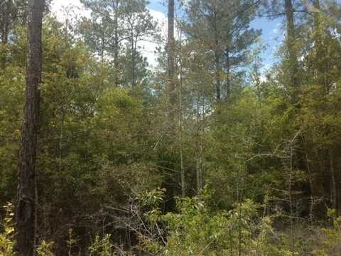 TBD Turner St, Waynesboro, MS 39367