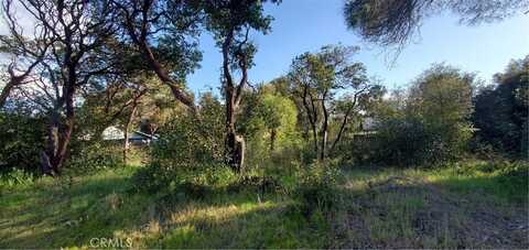 13577 Sonoma Avenue, Clearlake, CA 95422