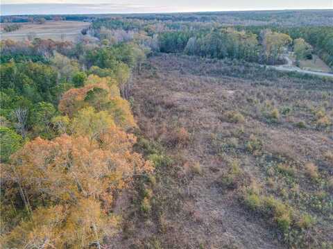 0 COUNTY ROAD 53, LAFAYETTE, AL 36862