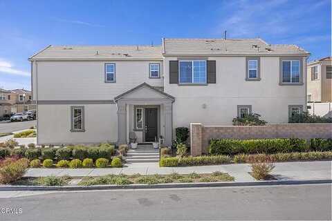 Tangelo, SANTA PAULA, CA 93060