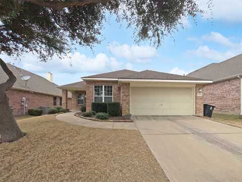 Ringtail, LITTLE ELM, TX 75068