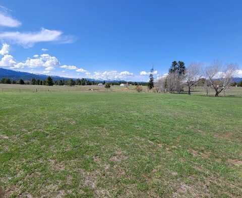 TBD Goslin Loop, Cascade, ID 83611