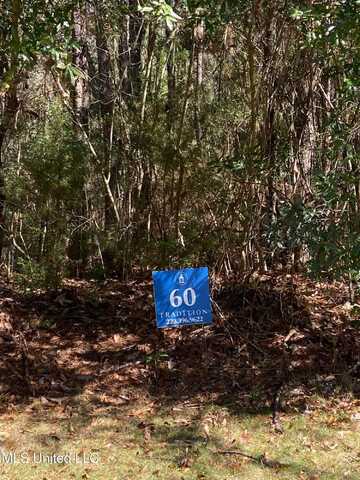 Lot 60 Middleton Place, Biloxi, MS 39532