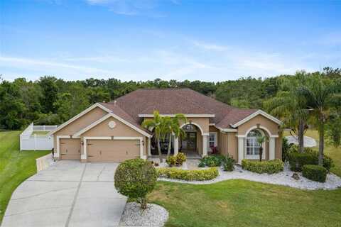27740 WATER ASH DRIVE, WESLEY CHAPEL, FL 33544