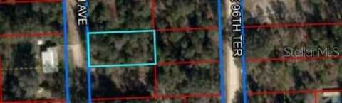 Tbd NE 96TH AVENUE, BRONSON, FL 32621