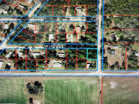 Lot 19 NE LEVY PLACE, WILLISTON, FL 32696