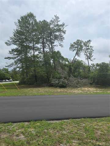 0 SW 41ST AVE RD, OCALA, FL 34473