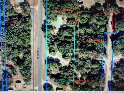0 NE 137TH TERRACE, WILLISTON, FL 32696