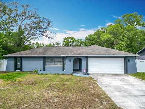 4435 LAMSON AVENUE, SPRING HILL, FL 34608