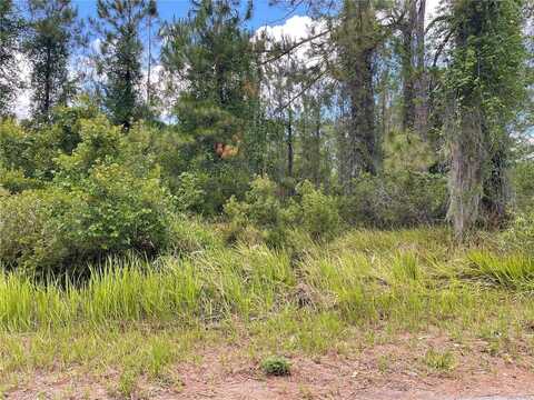 Lot 1 LOCUST PLACE RUN, OCALA, FL 34472