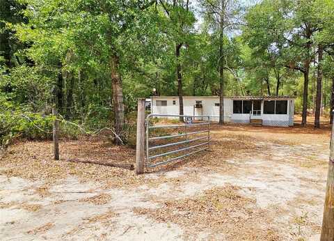 24533 PINK PANTHER ROAD, PAISLEY, FL 32767
