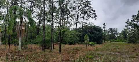 823 PANDORA DRIVE, INDIAN LAKE ESTATES, FL 33855