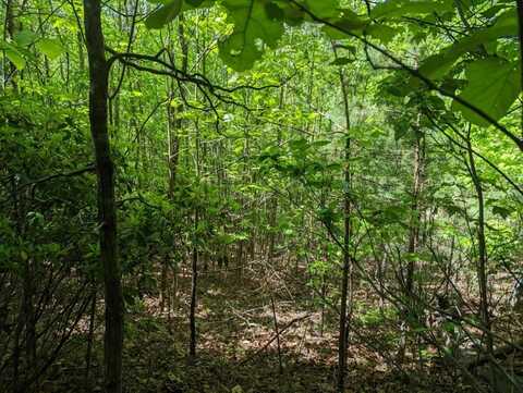 TBD Heritage Trail, BRASSTOWN, NC 28902