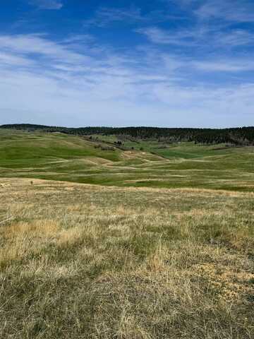 1115 Bowers Road, Sundance, WY 82729