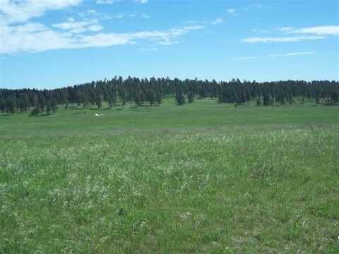 TBD War Bonnet Road, Custer, SD 57730