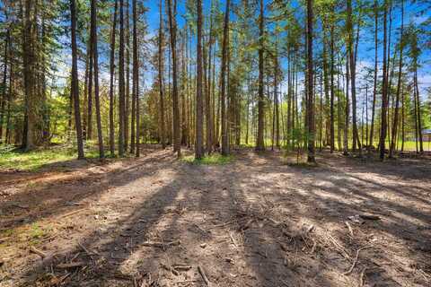 1365 Mt Highway 209, Bigfork, MT 59911