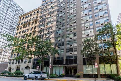 253 E DELAWARE Place, Chicago, IL 60611