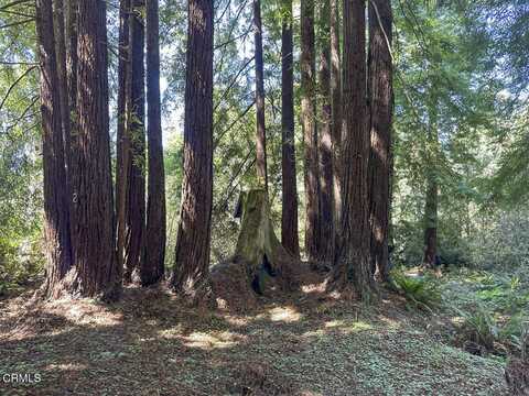 31320 Airport Road, Fort Bragg, CA 95437