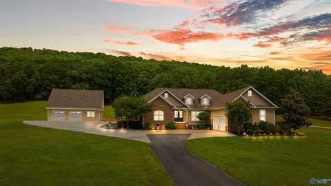 1061 County Road 622, Valley Head, AL 35989