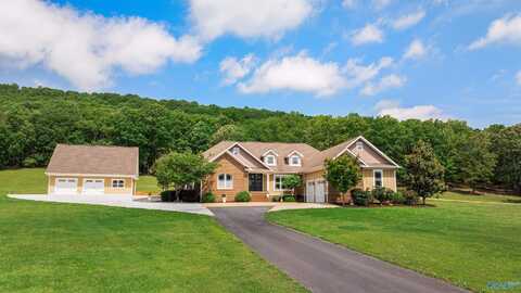 1061 County Road 622, Valley Head, AL 35989