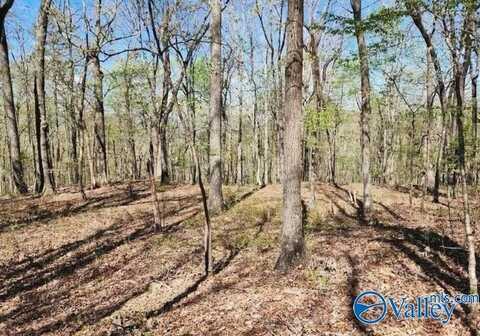 59 Acres Horse Cove Road, Gurley, AL 35748