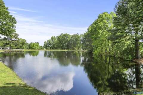 1025 Berkley Road, Arab, AL 35016