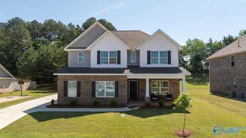 123 Ivy Vine Drive, Toney, AL 35773