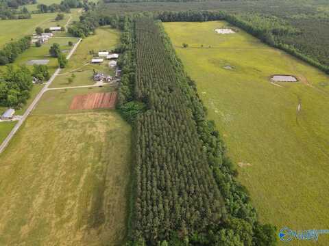 18.5 Acres County Road 381, Hillsboro, AL 35643