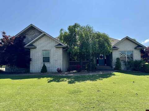95 OLYMPIC DRIVE, Mountain Home, AR 72653
