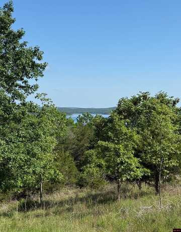 730 MC 8097, Yellville, AR 72687