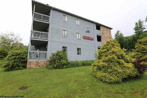 1240 Beech Lodge Court, Davis, WV 26260