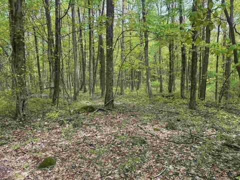 Lot 30 Oak Drive, Albright, WV 26519