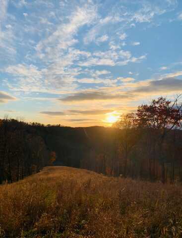 TBD Grass Run Road, Salem, WV 26426