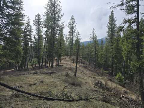 XXX S BASIN RD, COLVILLE, WA 99114