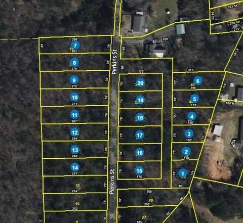 Perkins, Selmer, TN 38375