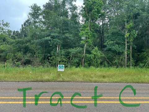 TBD FM 414 (Tract C), Center, TX 75935