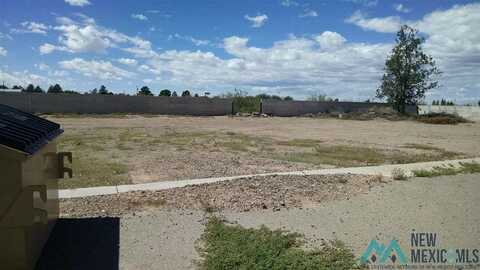 00000 Gila Ct Street, Deming, NM 88030