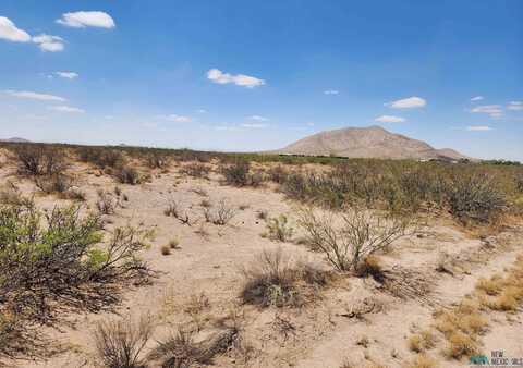 SW Lemitar Road, Deming, NM 88030