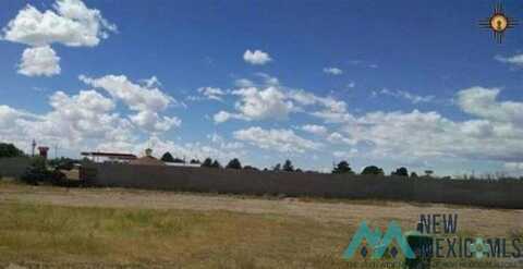 000000 Gila Ct Street, Deming, NM 88030