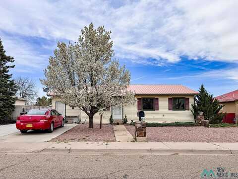 520 Christine Drive, Las Vegas, NM 87701