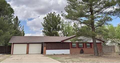503 E Hendryx, Alpine, TX 79830