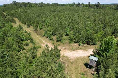 Tbd County Road 3206, Mount Enterprise, TX 75681