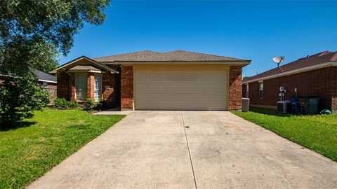 1133 Lake Haven Drive, Little Elm, TX 75068